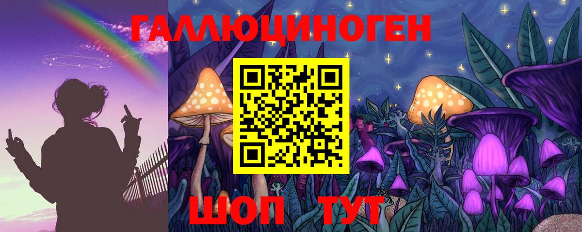 Черняховск  Галлюциногенные грибы GOLDEN TEACHER  как найти наркотики  Вход с VPN 