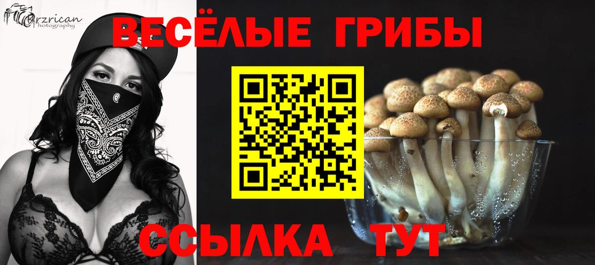 Псилоцибиновые грибы мухоморы Черняховск